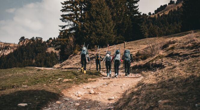 Jacques a dit "On sort les couteaux!" (pour le saucisson ?) image article