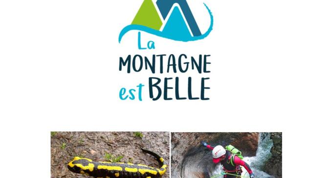 Eau, minéraux et bestiaux ! image article