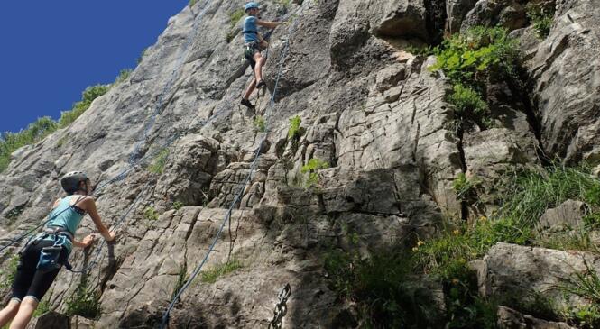 Ecole d'escalade : il reste des places chez les ouistitis pour la saison 2023 - 2024 image article