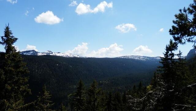 A la recherche du Parmelan Perdu, Indiana Jones n'a qu'à bien se tenir ! image article