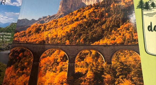 Un guide pour des sorties en mobilité douce ! image article