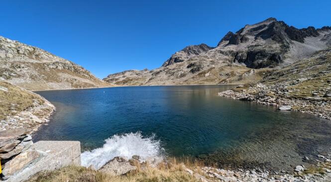 Exclusivement féminin......enfin presque !! image article