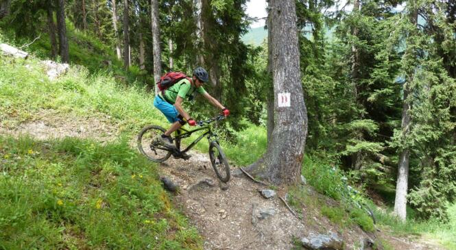 atelier maniabilité et pilotage vtt, sur les Monts image article