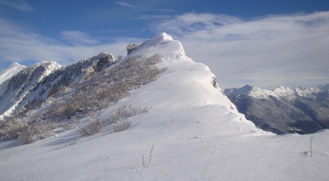 Belle foulée blanche image article