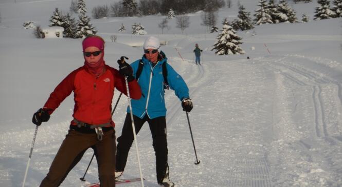 Info ski de fond image article
