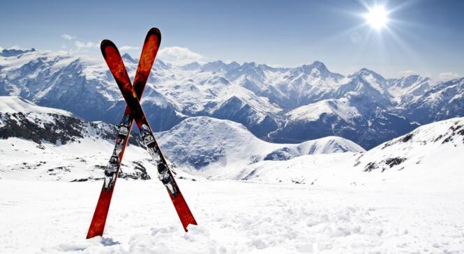 BUS SORTIE BARDONECCHIA image article