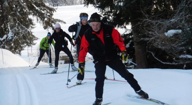 Stage Initiateur : recherche débutants ski de fond image article
