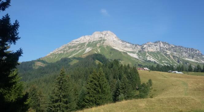 Retour sur Itinéraires alpestres : une vraie fête des alpages ! image article