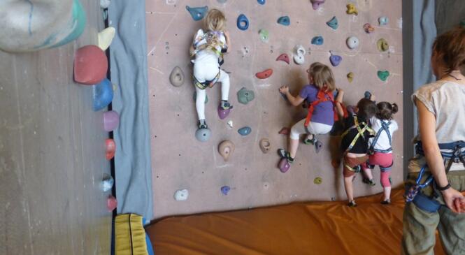 Reprise des créneaux Escalade pour les Familles image article
