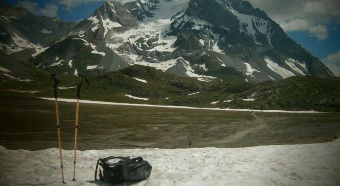 Petit tour et puis s'en va image article