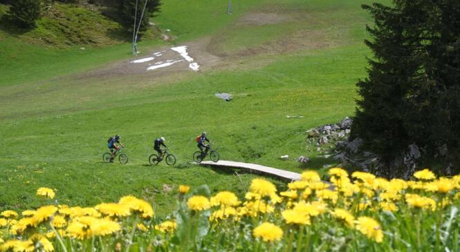 Sortie Vélo de Montagne au "Shabrakistan" image article