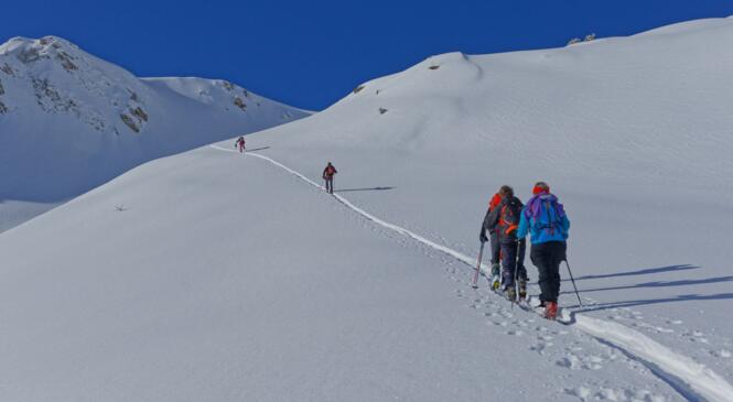 Ski, Poudre et Soleil, What Else ! image article