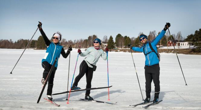 Adopte la Nordic attitude ! image article
