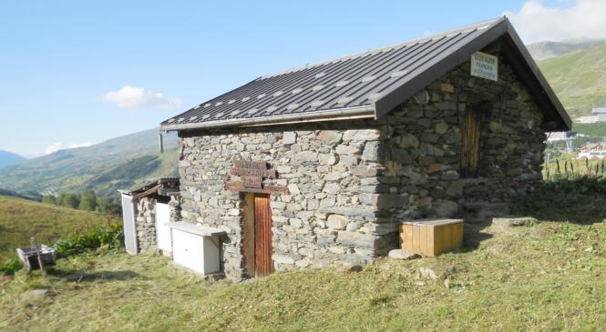 Chalet des Ménuires, pour son entretien cherche une personne de bonne volonté image article