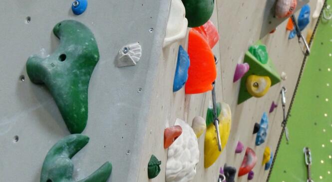 Escalade en salle, la reprise ! image article