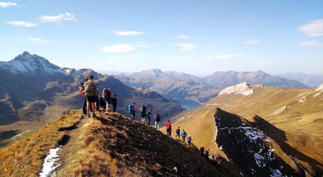 Les Zwhénos recrutent : tu es jeune & dynamique >> on a besoin de toi ! image article