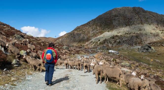 Les encadrants alpi font aussi de l'alpi image article
