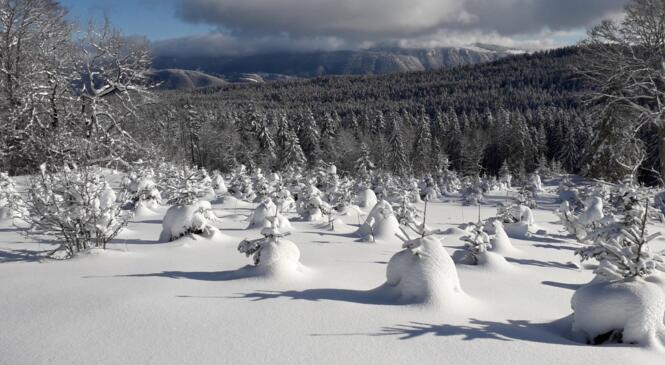 Raquettes au Retord "Le Grand Paradis Blanc" image article