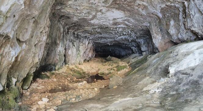 Grotte de la Doria, chauves souris et papillons... image article