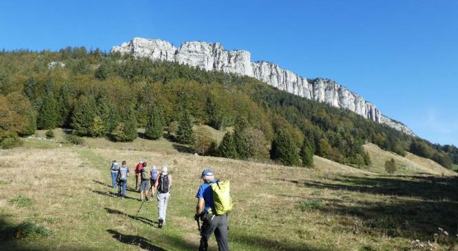 Mais où t'es, Ran (sur un air bien connu) image article