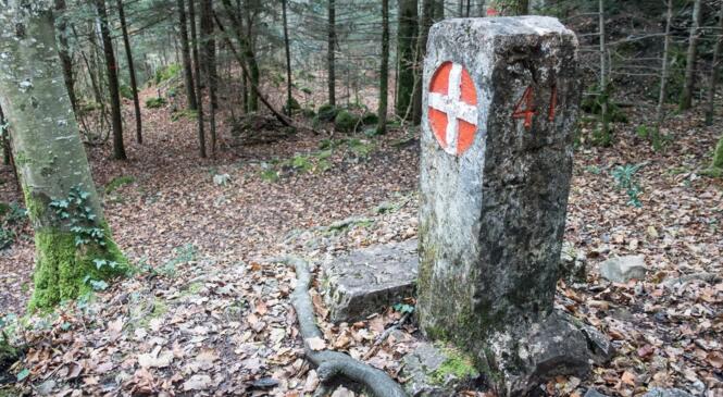 Nous avons dépassé les Bornes ! image article