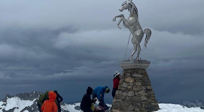 La chance sous le sabot du Cheval noir image article