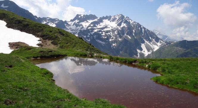 Le Chapotet et le Grand Chat image article