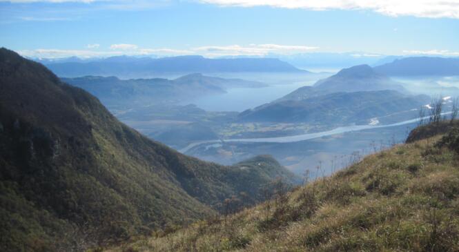 Pierre Chanduraz image article