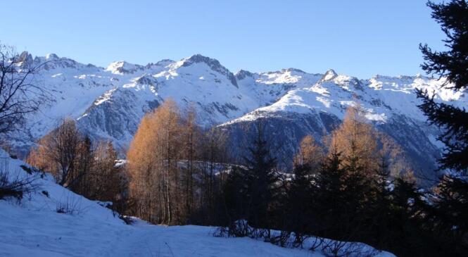 Sortie hivernale avant l'heure ! image article