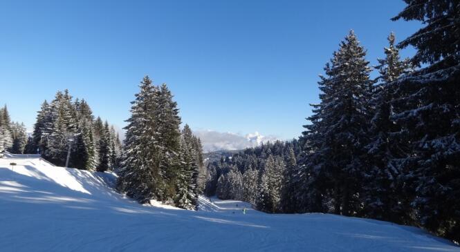 Sortie Ski au Revard image article