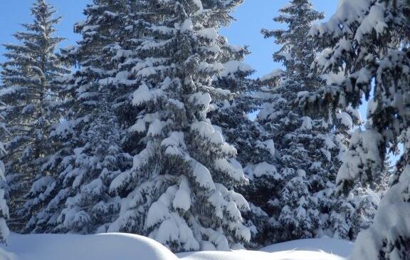 Montagne de Sous-Dine image article