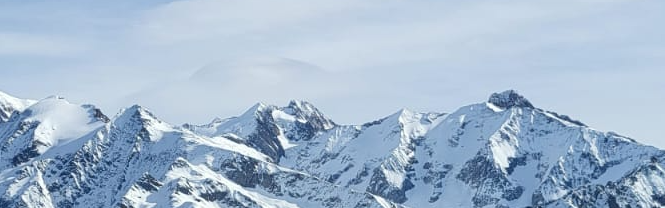 image article