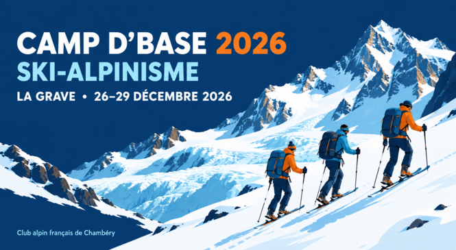 image article