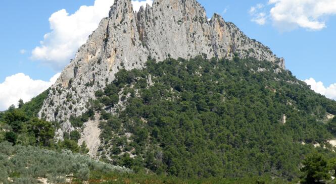 Séjour multi-activités aux Baronnies - ouvert à tous, petits et grands du mercredi 30 avril au dimanche 3 mai 2026 (3 nuits) image article
